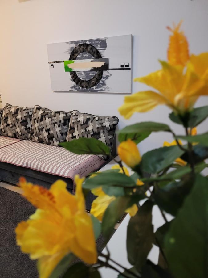 بوخارست Cozy Park Residences 5 المظهر الخارجي الصورة